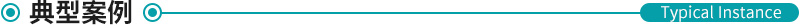 典型案例 典型案例