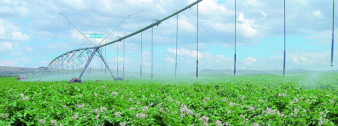 水肥一體化現(xiàn)場圖 水肥一體化現(xiàn)場圖