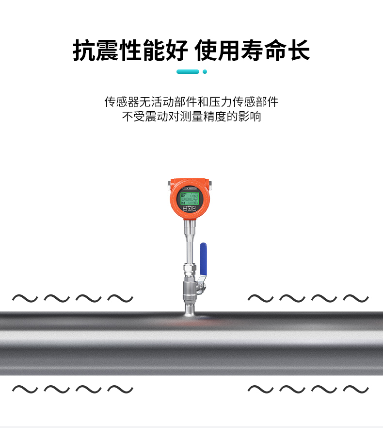 熱式氣體質量流量計產(chǎn)品抗震性能好